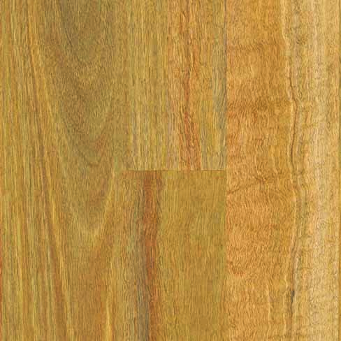 NSW Spotted Gum